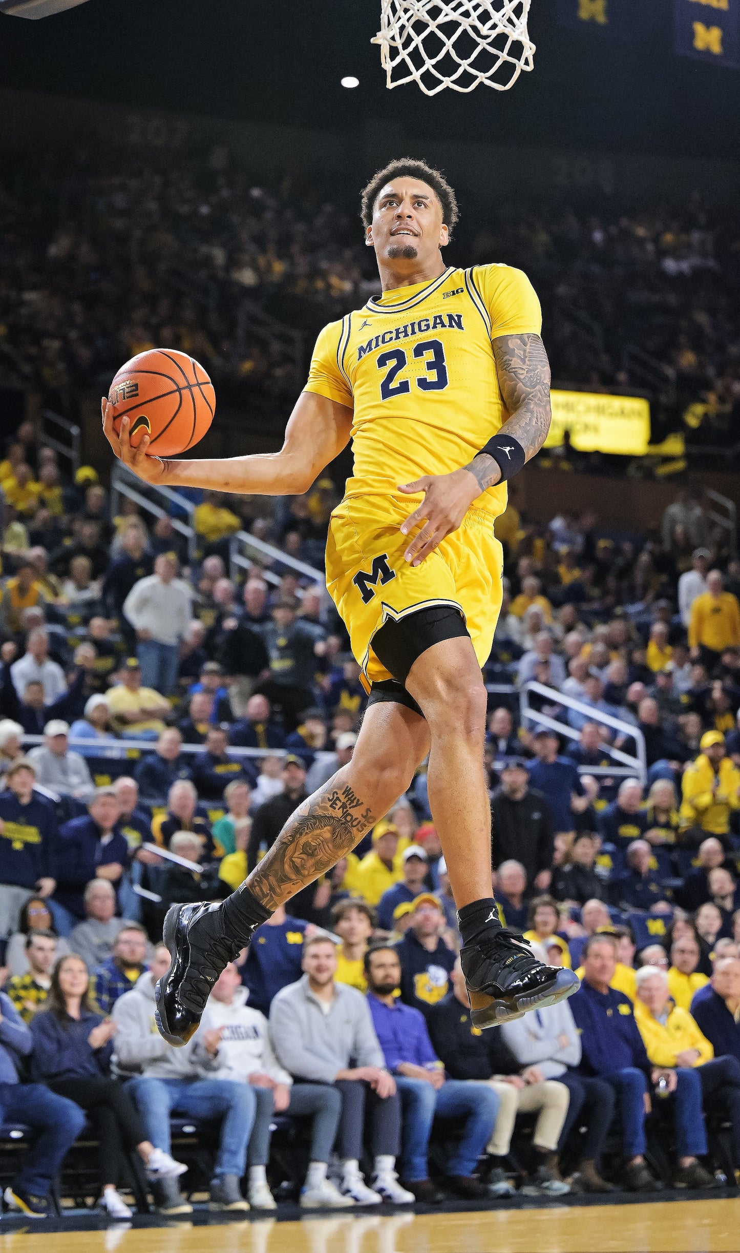 MAIZE THE ROOF: How the Michigan Wolverines Dominated College Basketball (Pediment)