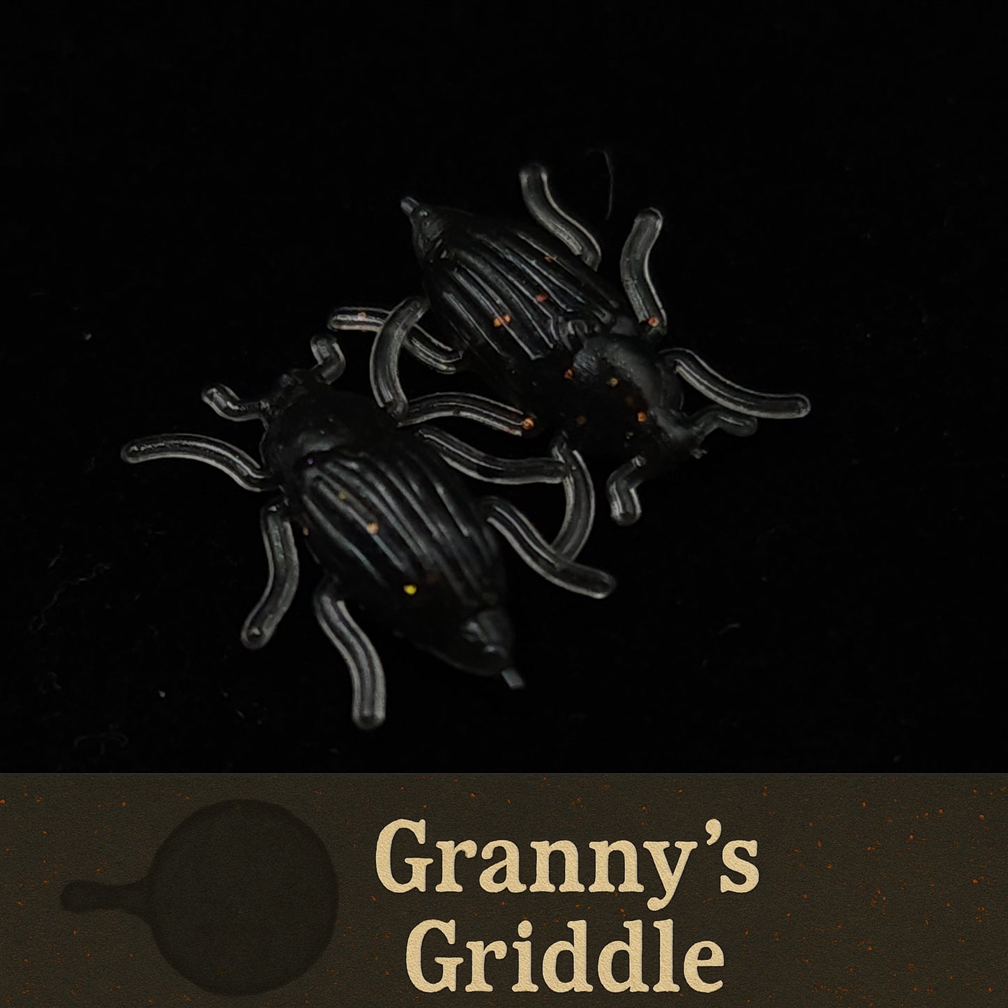 Jar of 0.5" Half Inch Micro Beetle "Toe Biter"