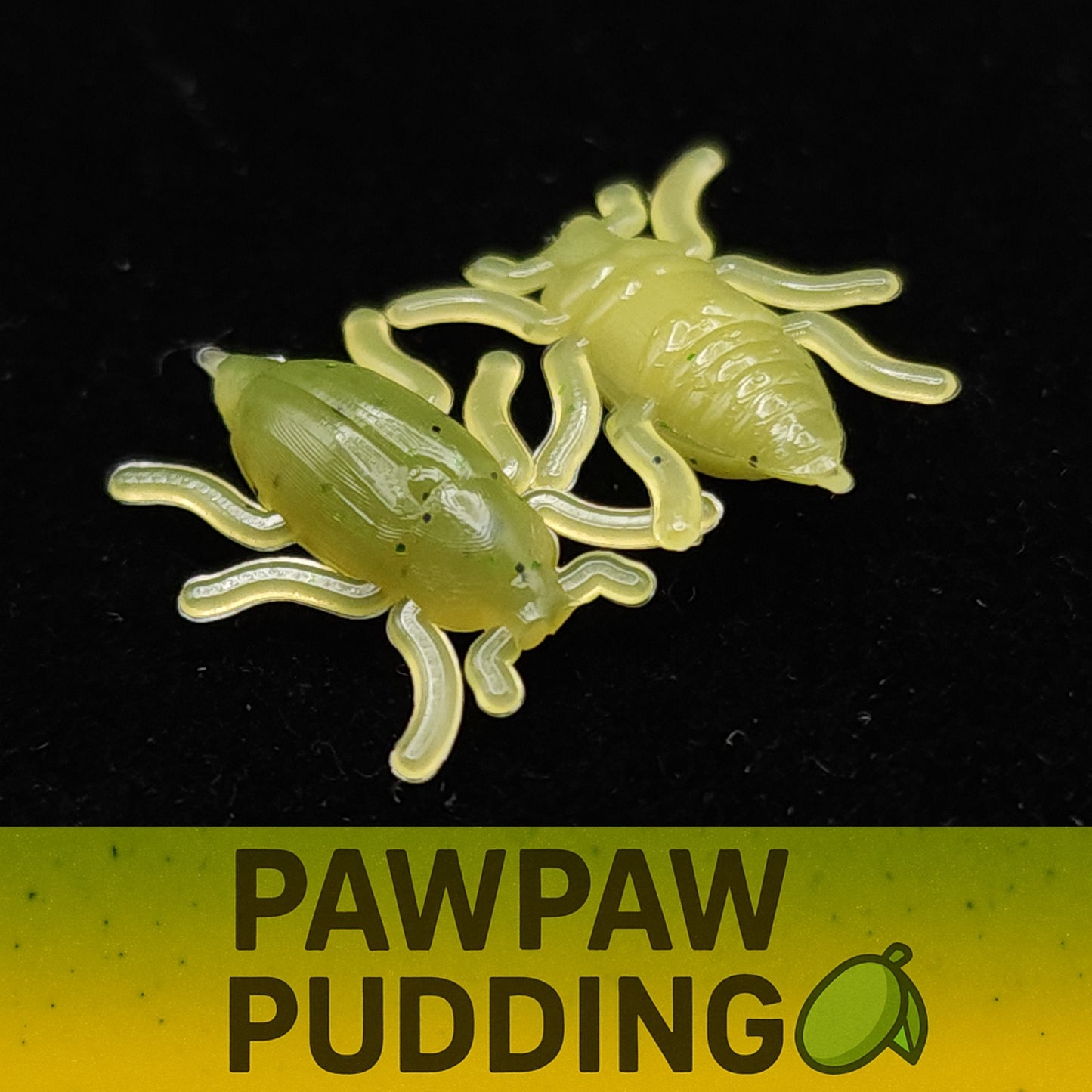 Jar of 0.5" Half Inch Micro Beetle "Toe Biter"