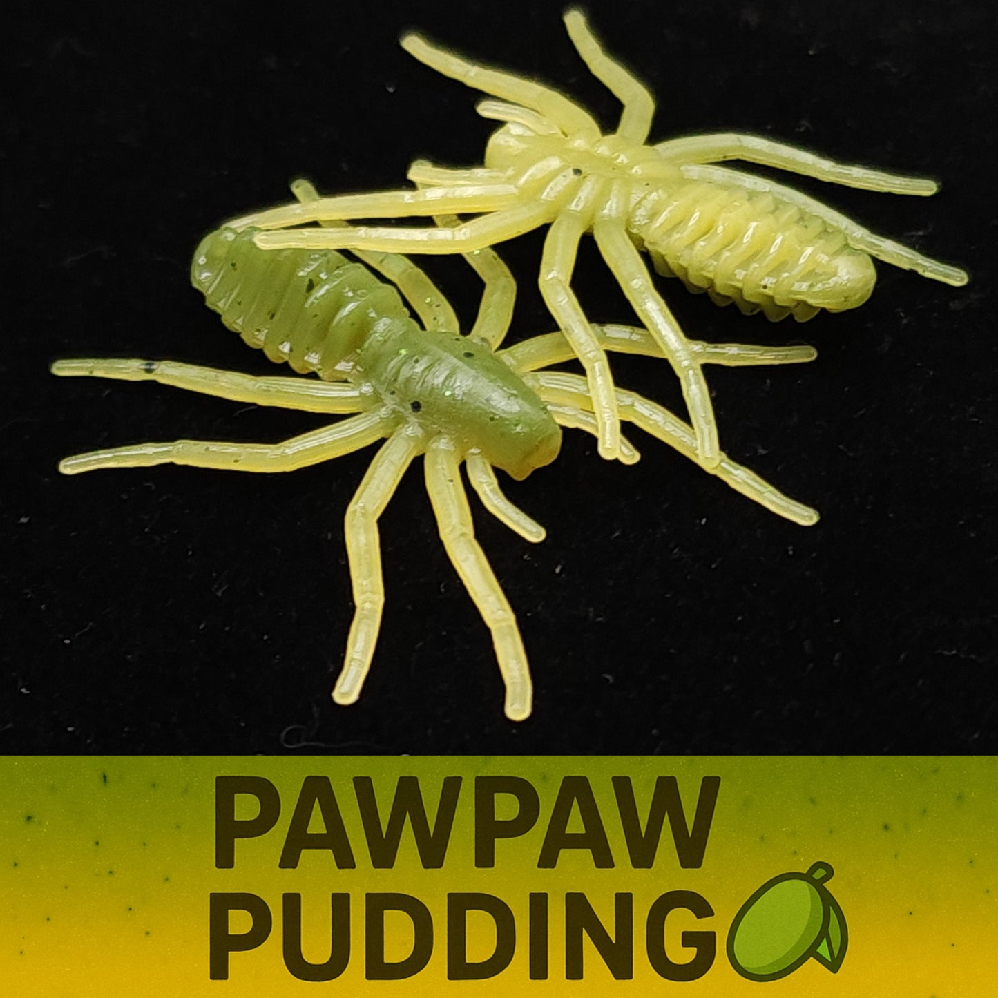 Jar of 1" Micro Spider Bait "The Writing Spider"