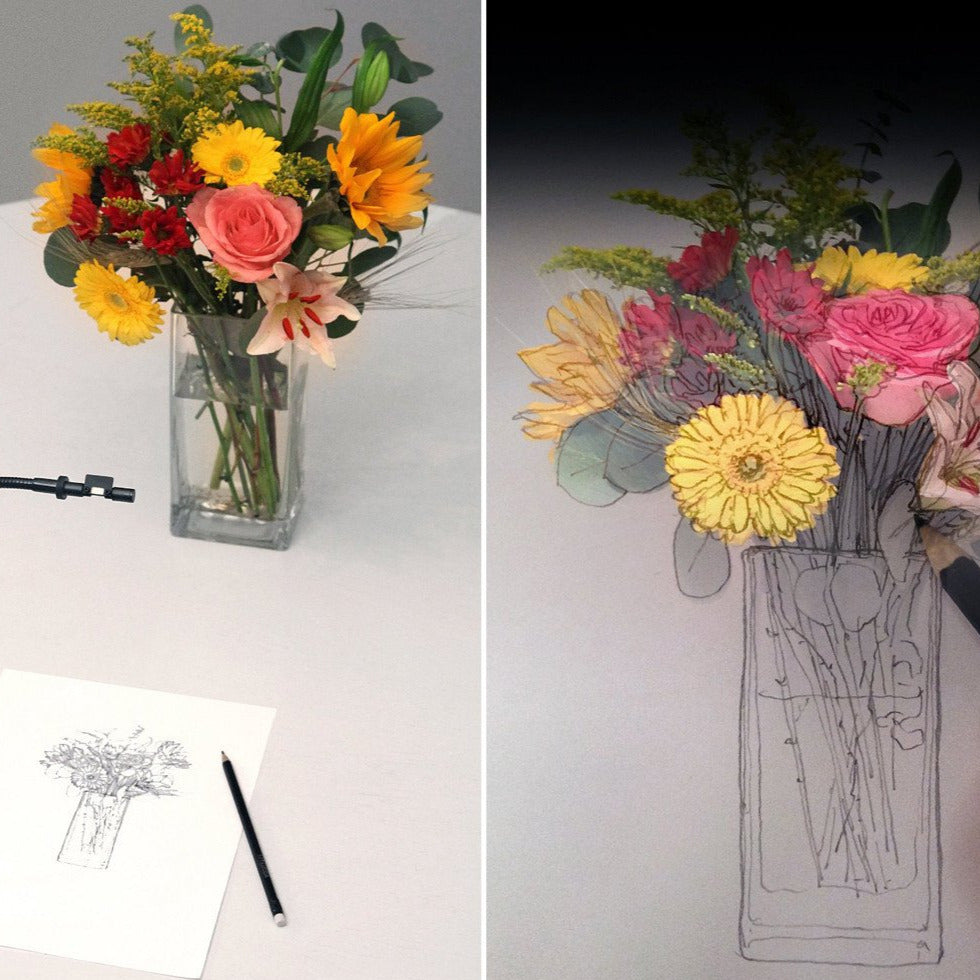 NeoLucida : The 21st Century Camera Lucida