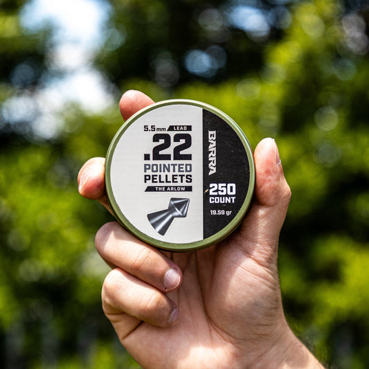 Arlow Pointed Tip .22 Caliber Pellets - 250 Count