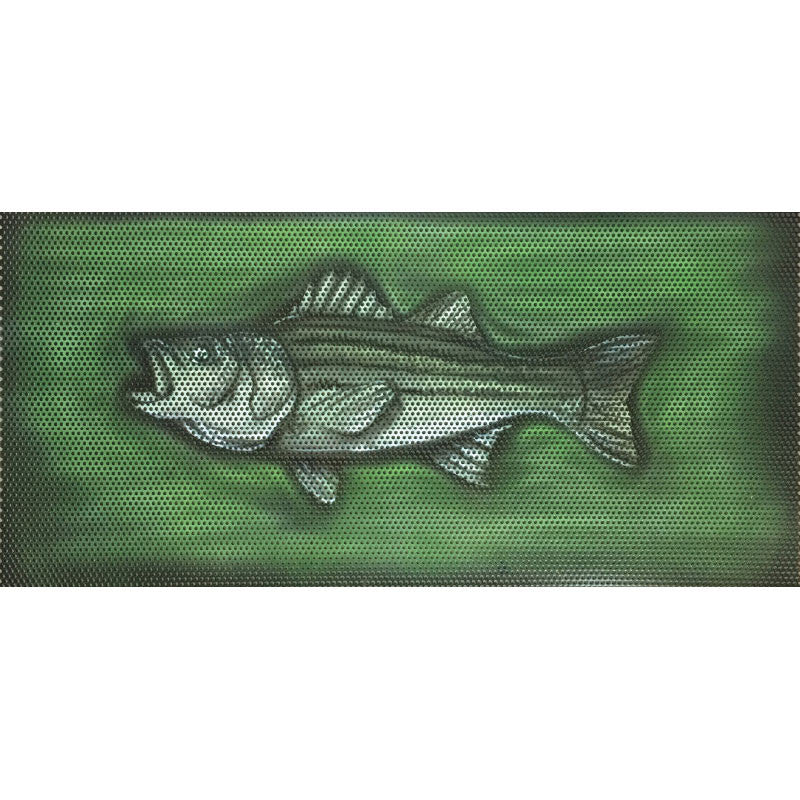 Striped Bass
