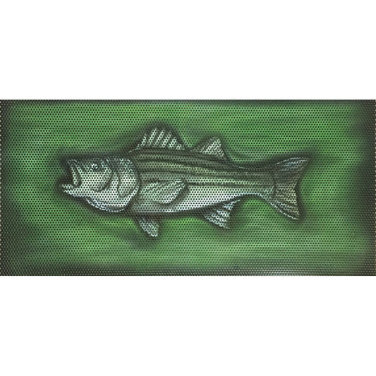 Striped Bass