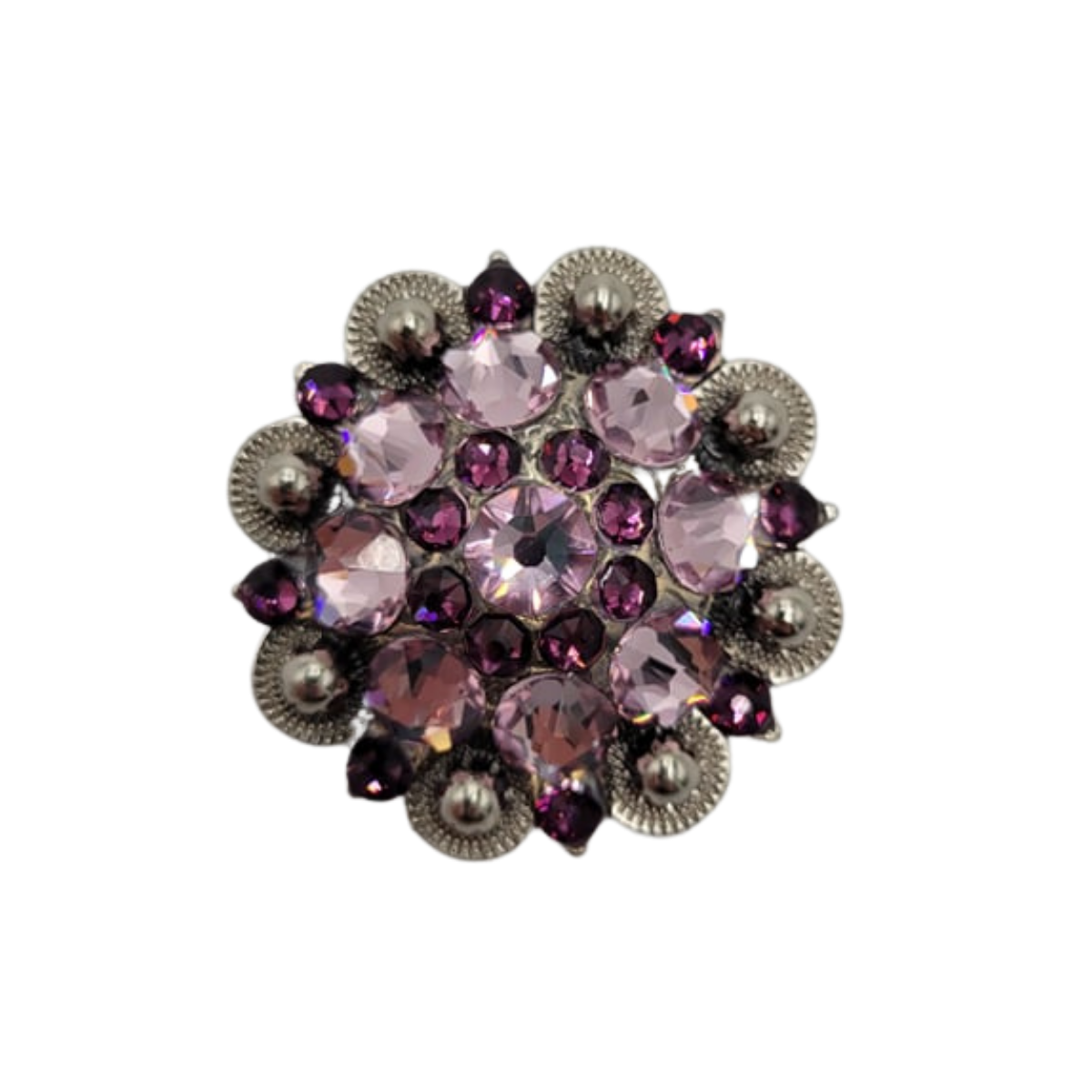 Pro Series Crystal Conchos