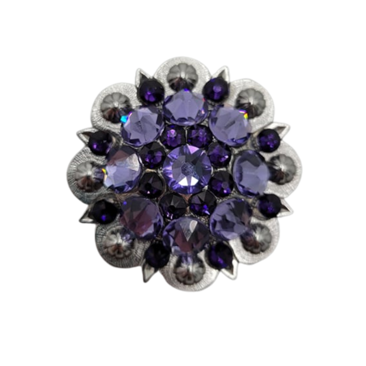 Pro Series Crystal Conchos