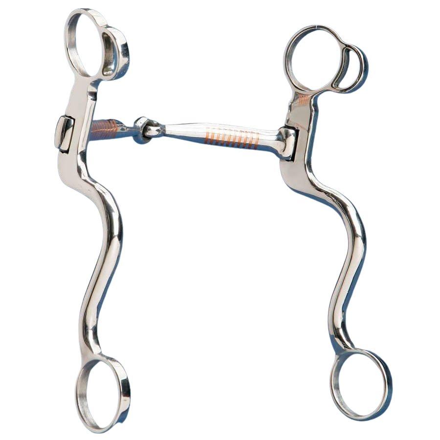 Never Tarnish 'S' Snaffle