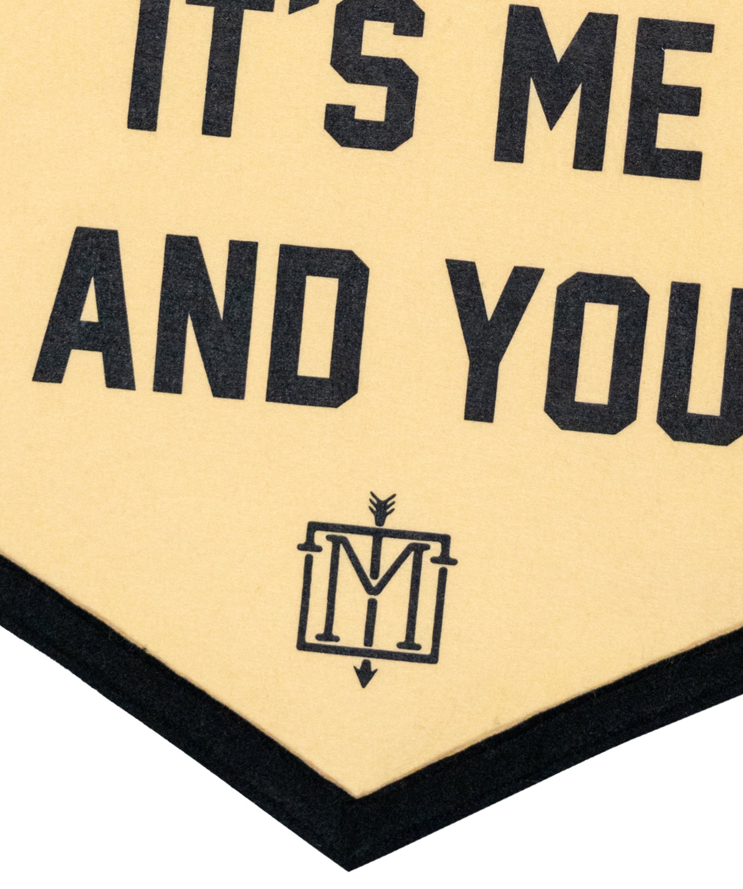 After The Party It's Me and You Camp Flag • The Menzingers x Oxford Pennant