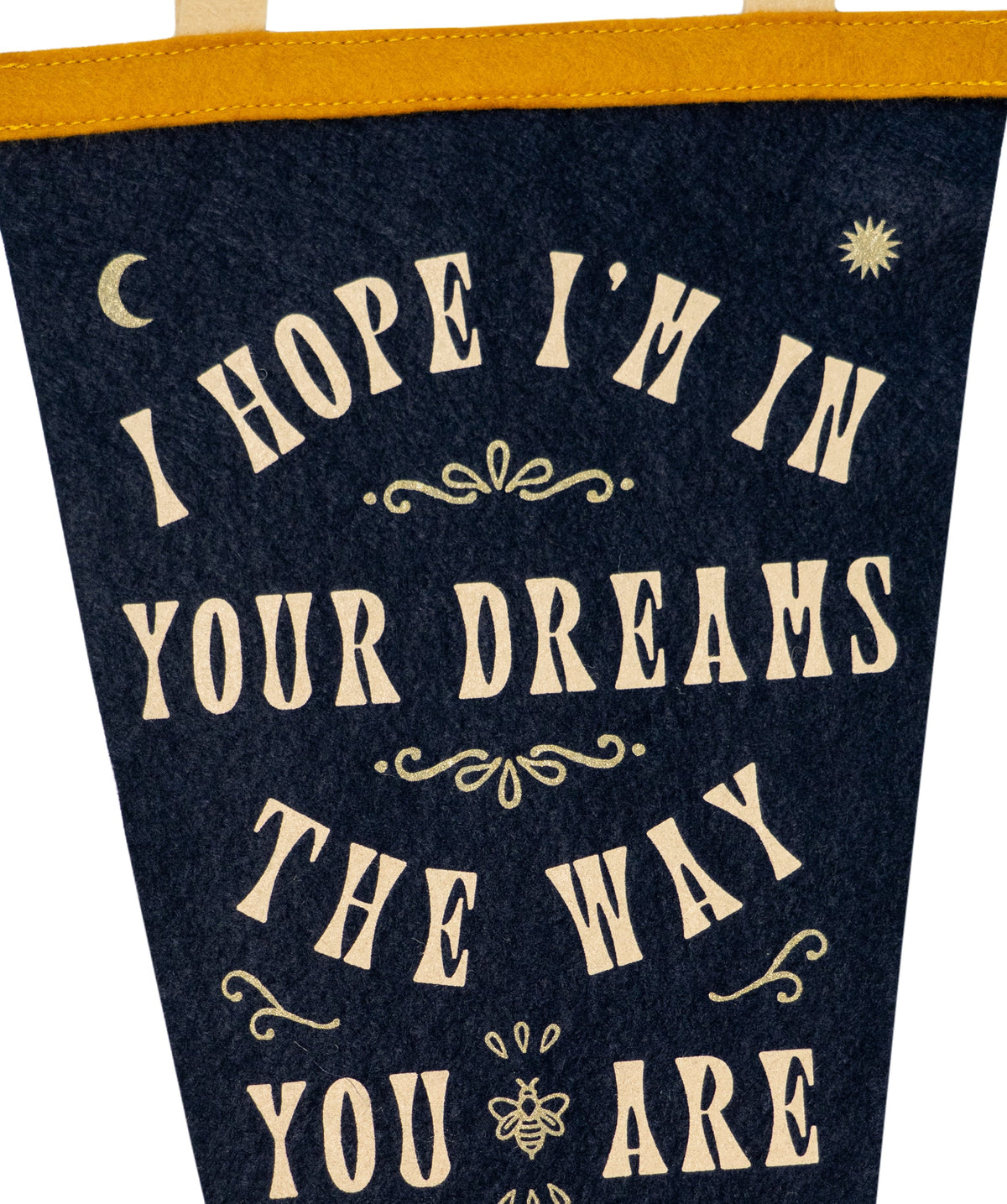 In Dreams Fishtail Pennant • Sierra Ferrell x Oxford Pennant