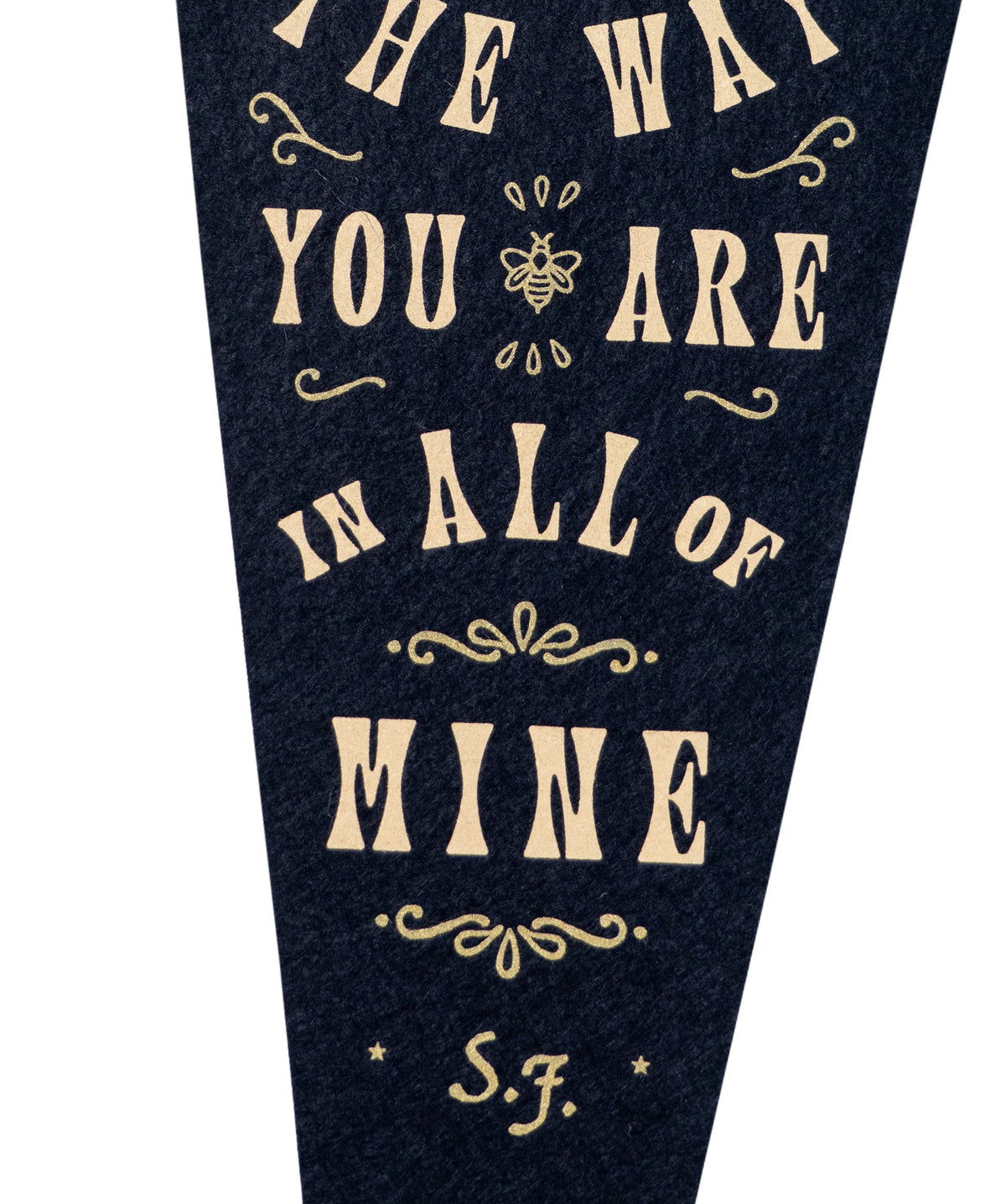 In Dreams Fishtail Pennant • Sierra Ferrell x Oxford Pennant
