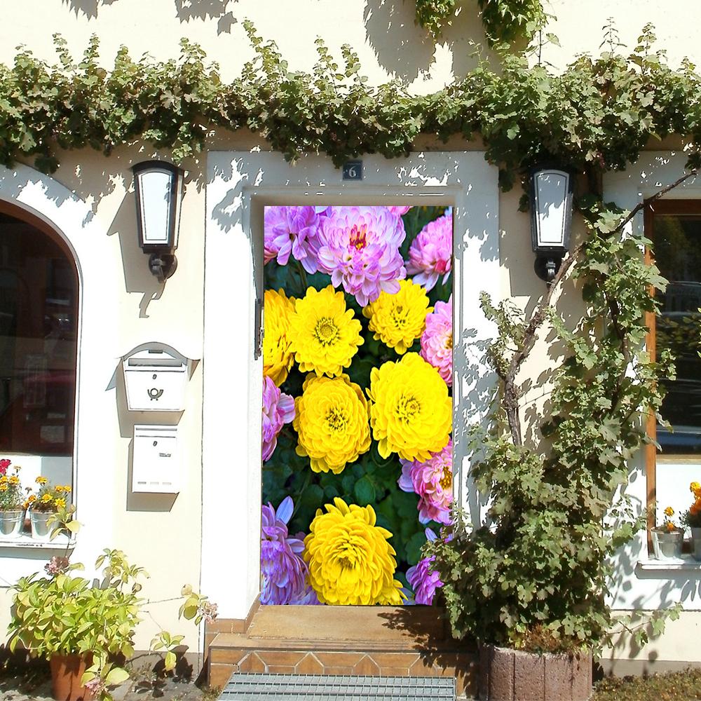 Asters Door Flower