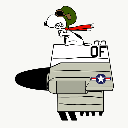 RC-135 RJ Snewp - Slap