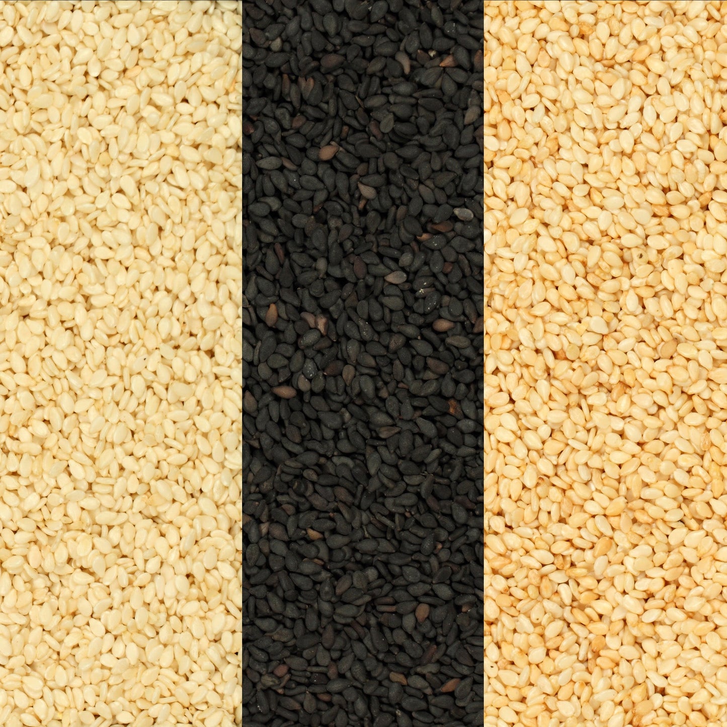 Sesame Seeds (Hulled)