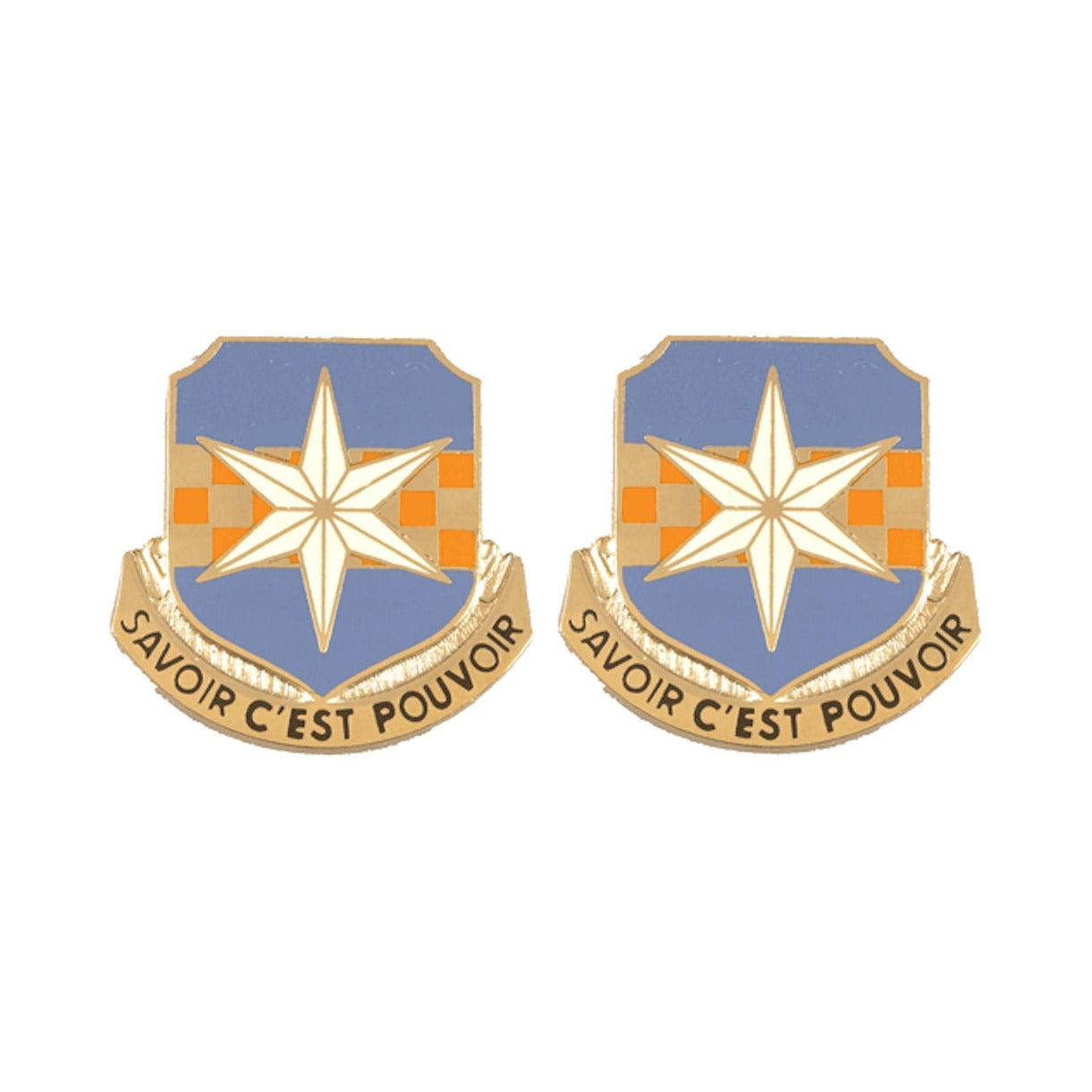 313th MILITARY INTELLIGENCE BATTALION Distinctive Unit Insignia - Pair
