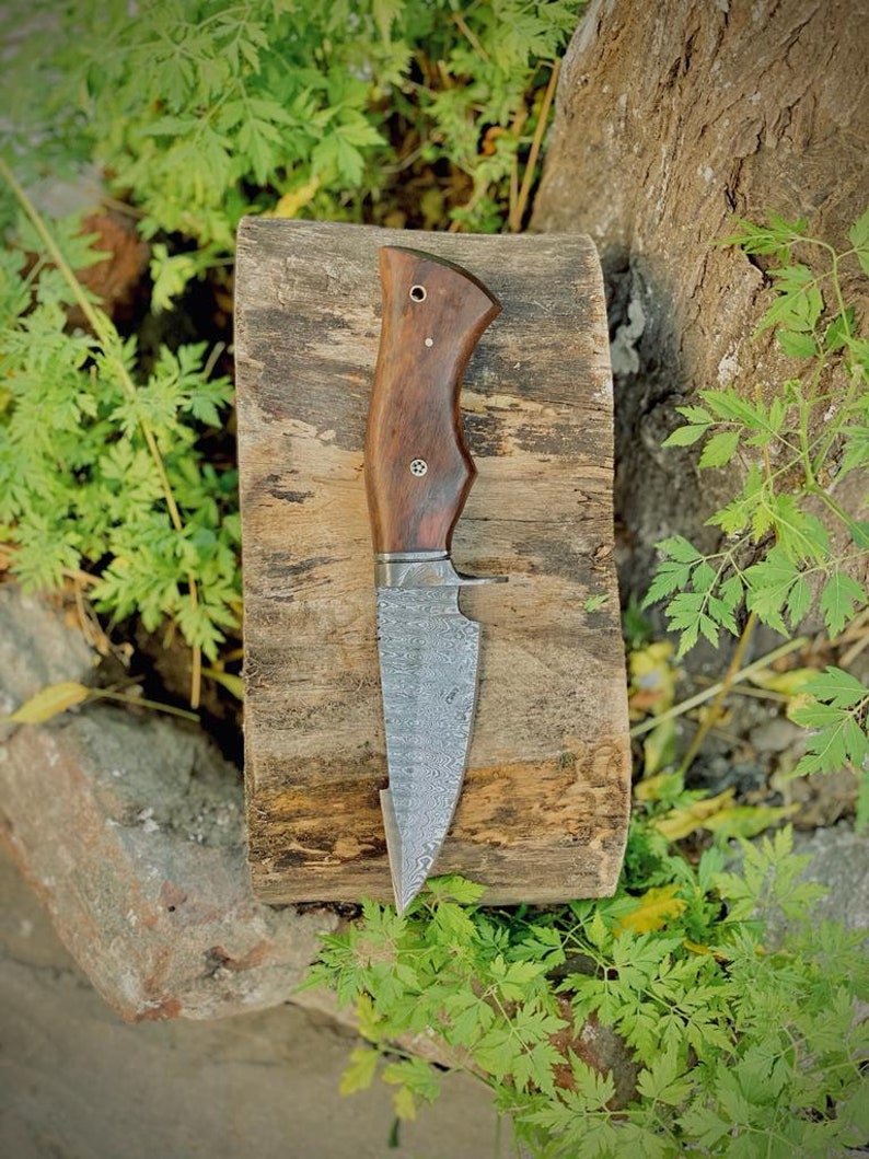 The Hunter's Favorite: 10-Inch Hunting Knife with Damascus Steel Blade, Rosewood Handle, and Damascus Guard