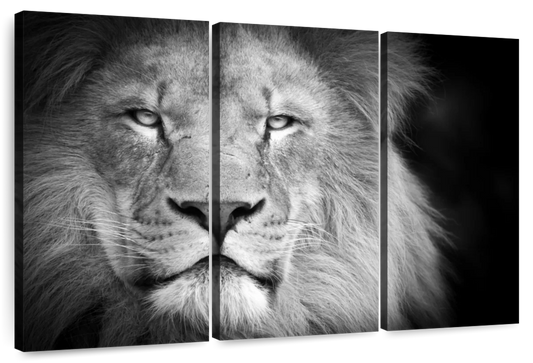 Lion Portrait Wall Art