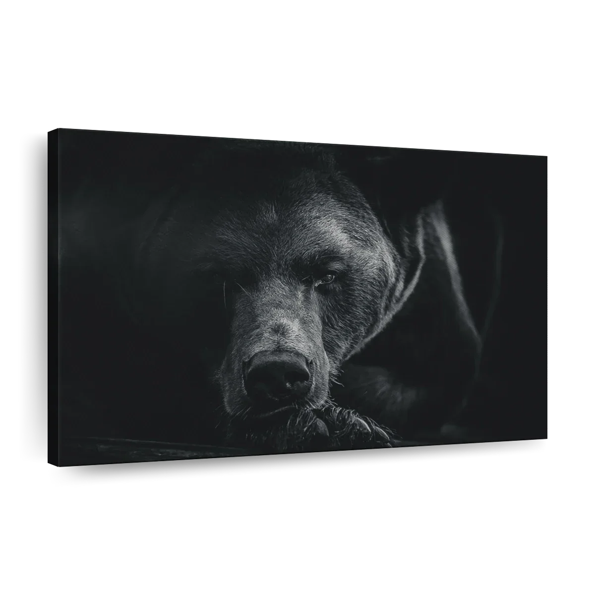 Monochrome Brown Bear Wall Art