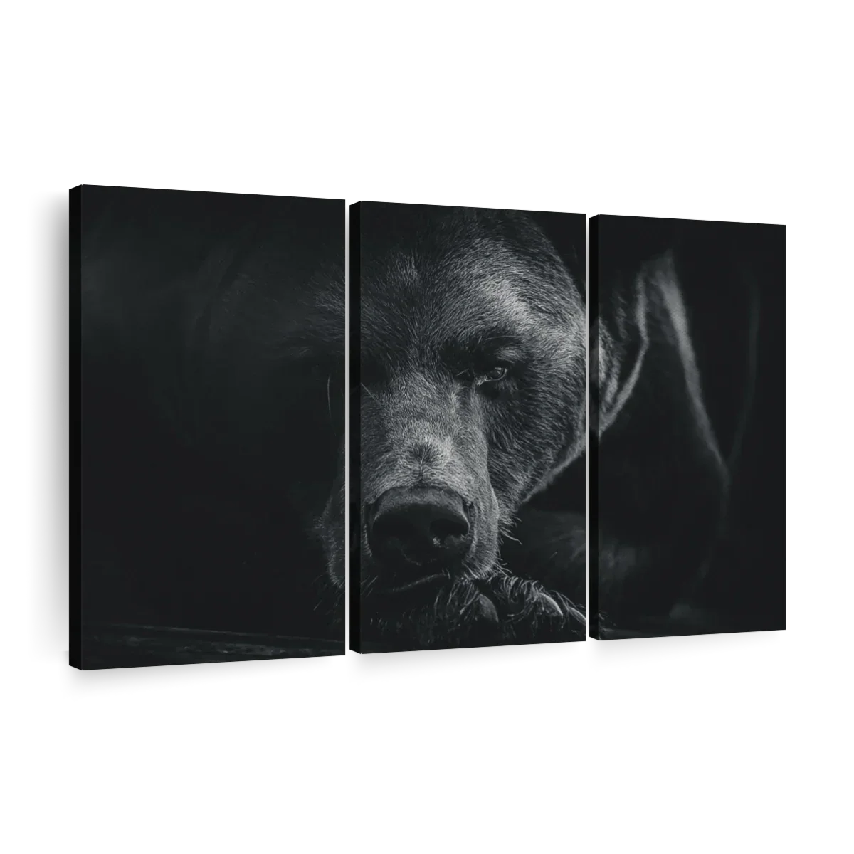 Monochrome Brown Bear Wall Art