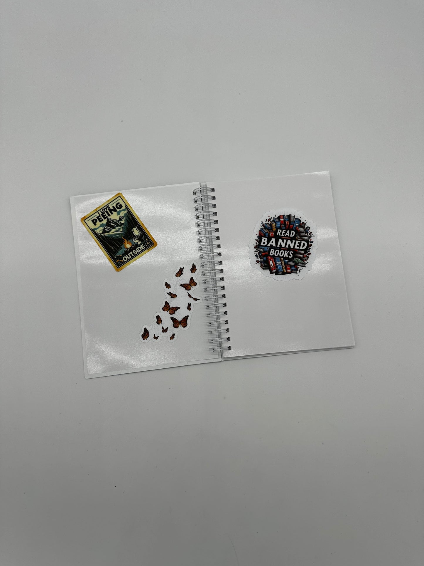 Astronaut Animals Reusable Sticker Book