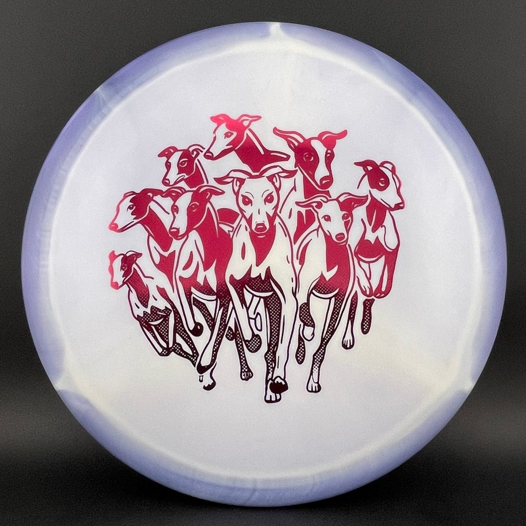 Halo Star Whippet X - First Run