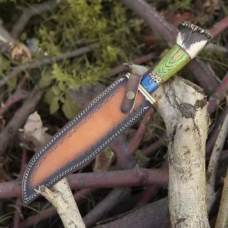 Artisan's Edge: Custom Handmade Hunting Bowie Knife with D2 Steel Blade, Green and Blue Exotic Wood, Antler Horn Handle, Brass Guard, and Leather Sheath