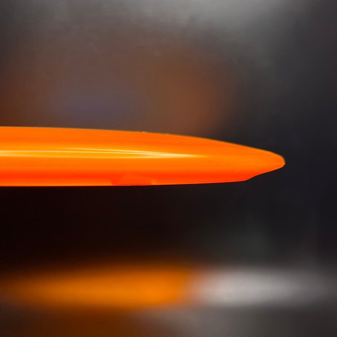 Champion Leopard - Barry Schultz 2X