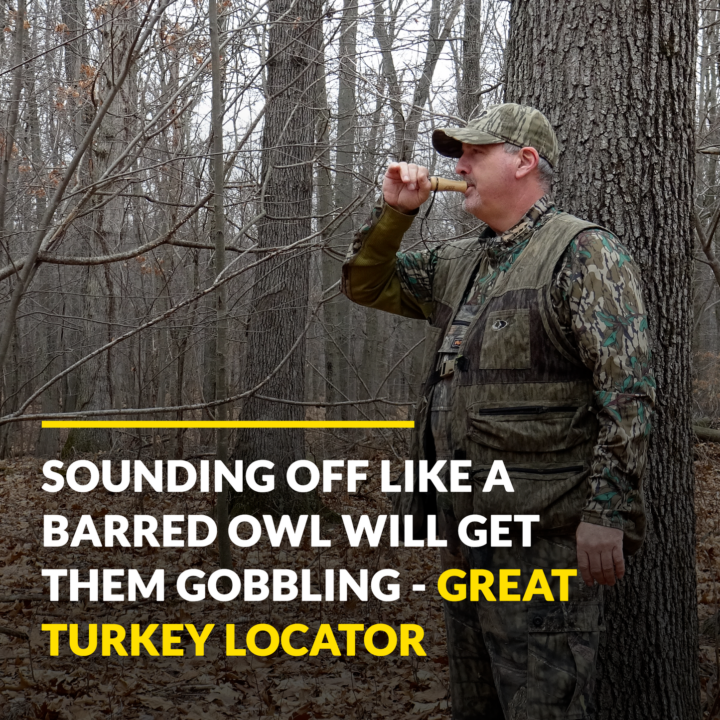 Pure Owl Locator Call