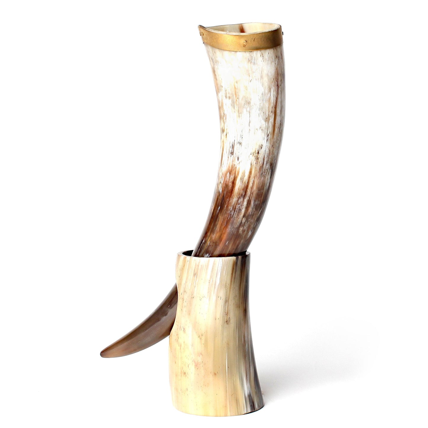 Curved Drinking Horn Bundle with Stand & Holster