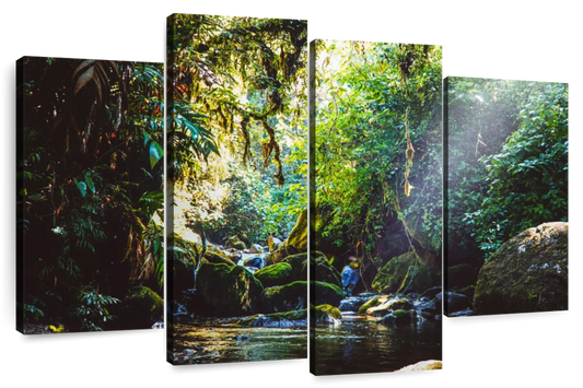 Forest In Panama Wall Art