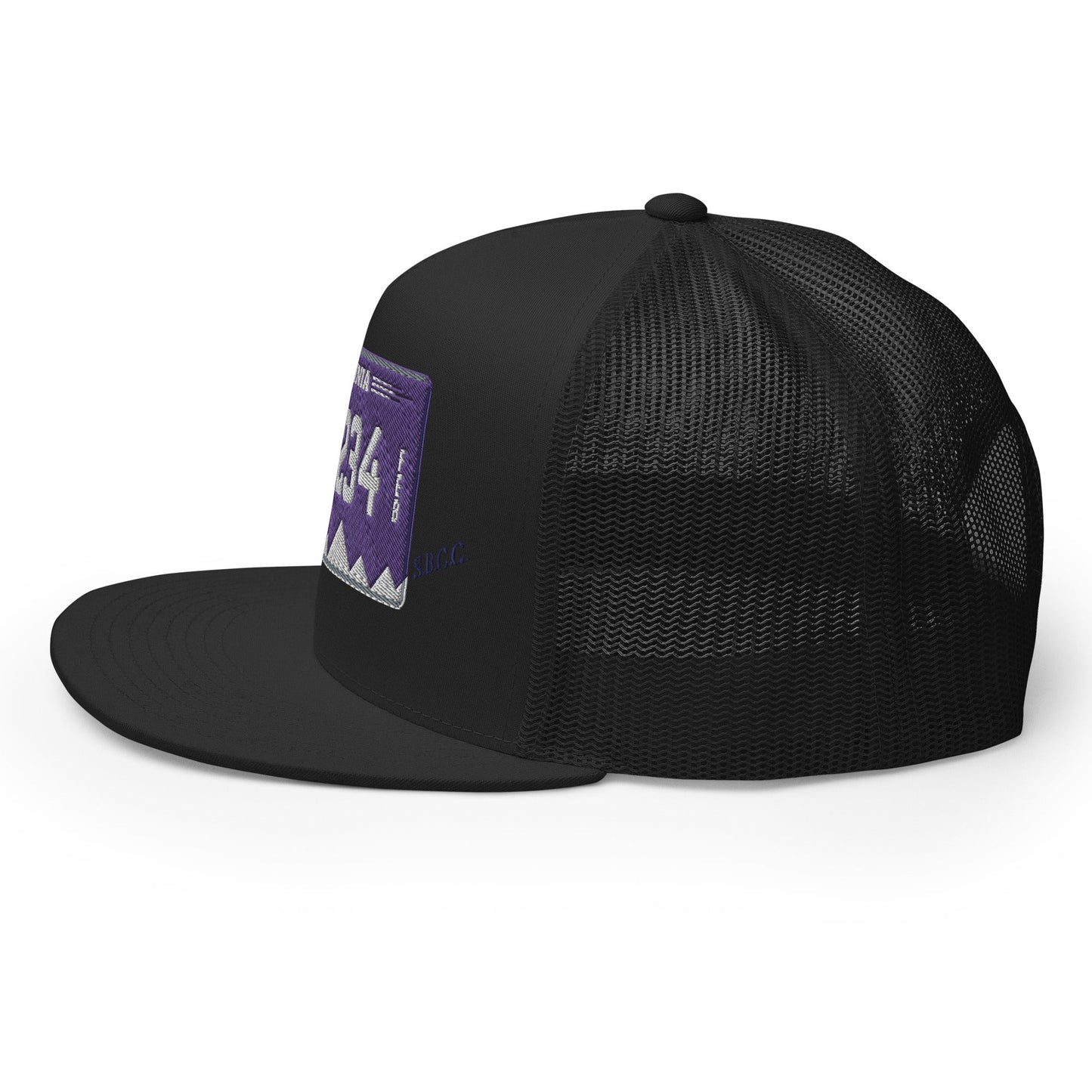 Virginia License Plate Hat