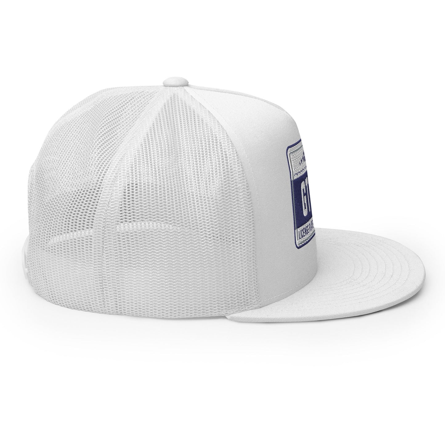 Georgia License Plate Hat