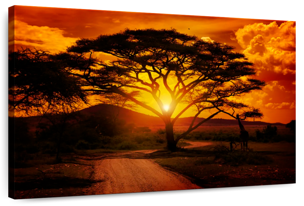Serengeti Park Sunset Silhouette Wall Art