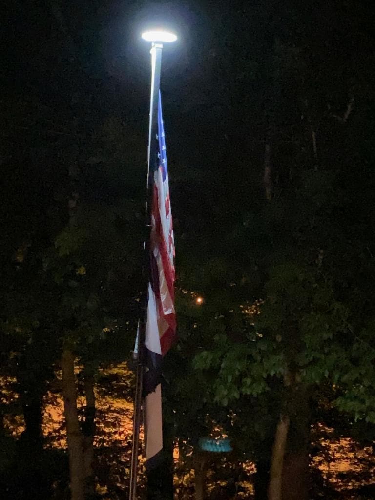 TelePatriot 600 Series Solar Flagpole Light - 600 Lumen IP65 LED