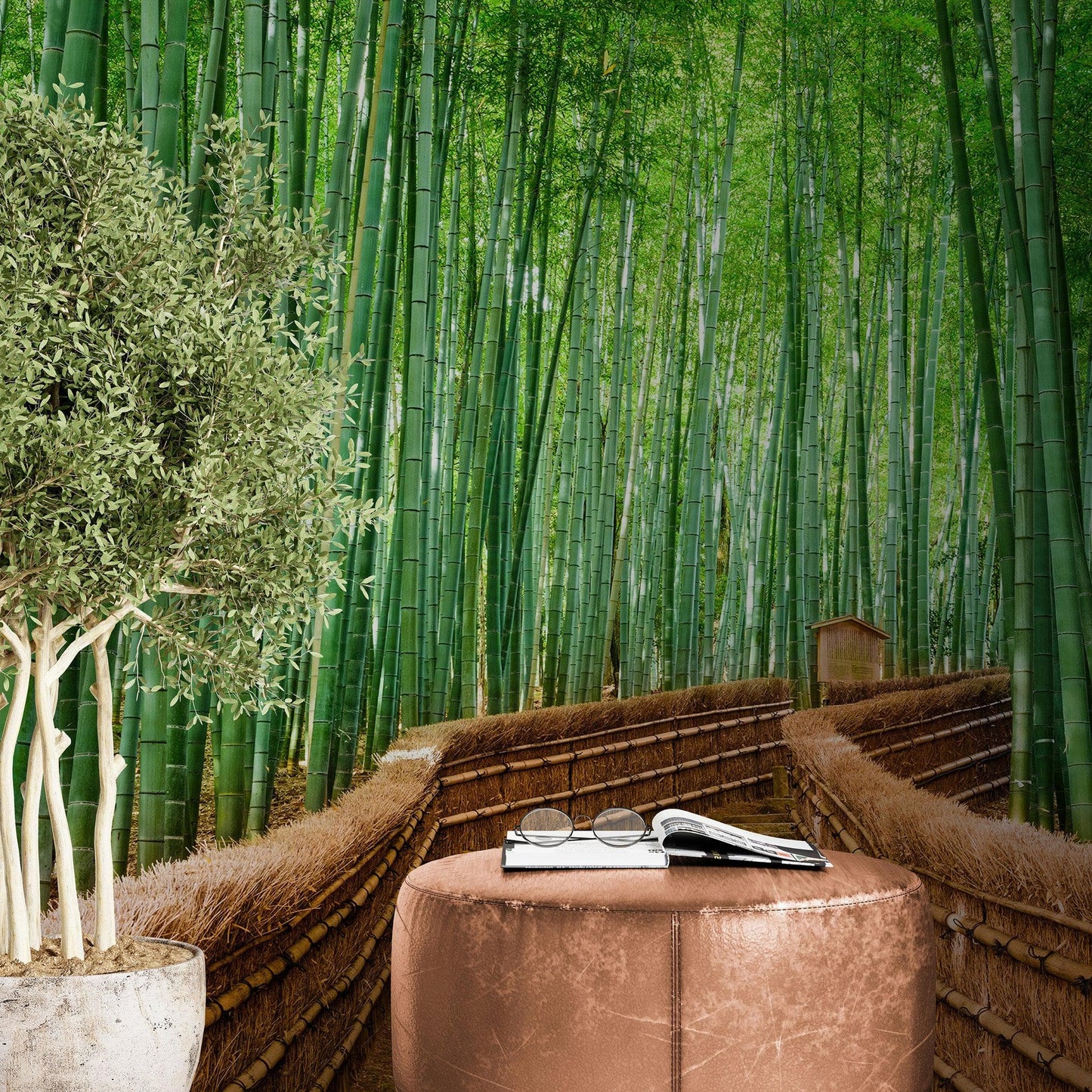 Japanese Bamboo Forest Arashiyama Woods Wall Mural #6043