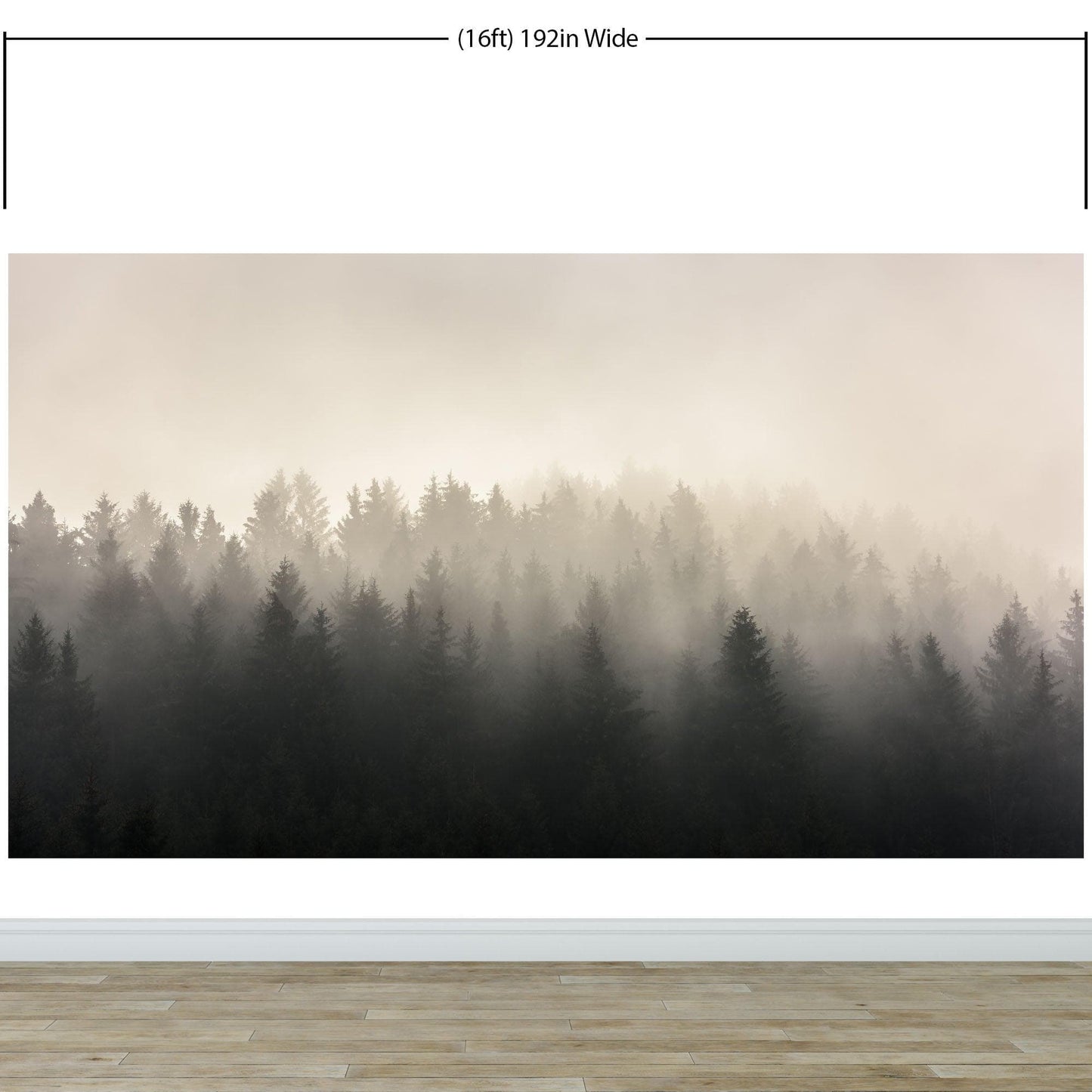 Misty Pine Forest Wall Mural. Peaceful Foggy Morning Scenery. #6122