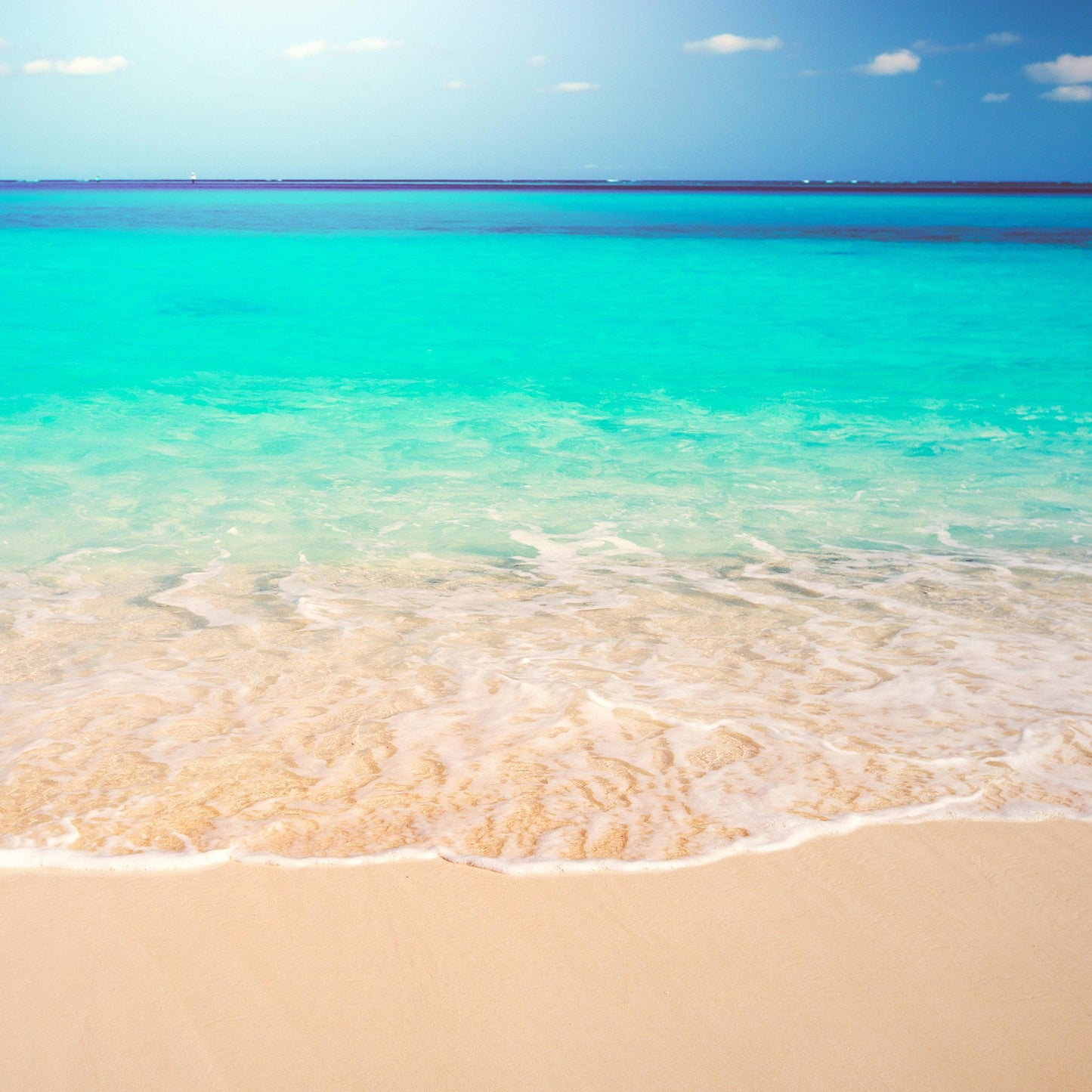 Tropical White Sand Paradise Beach Ocean Wave Scenery Wall Mural. #6201