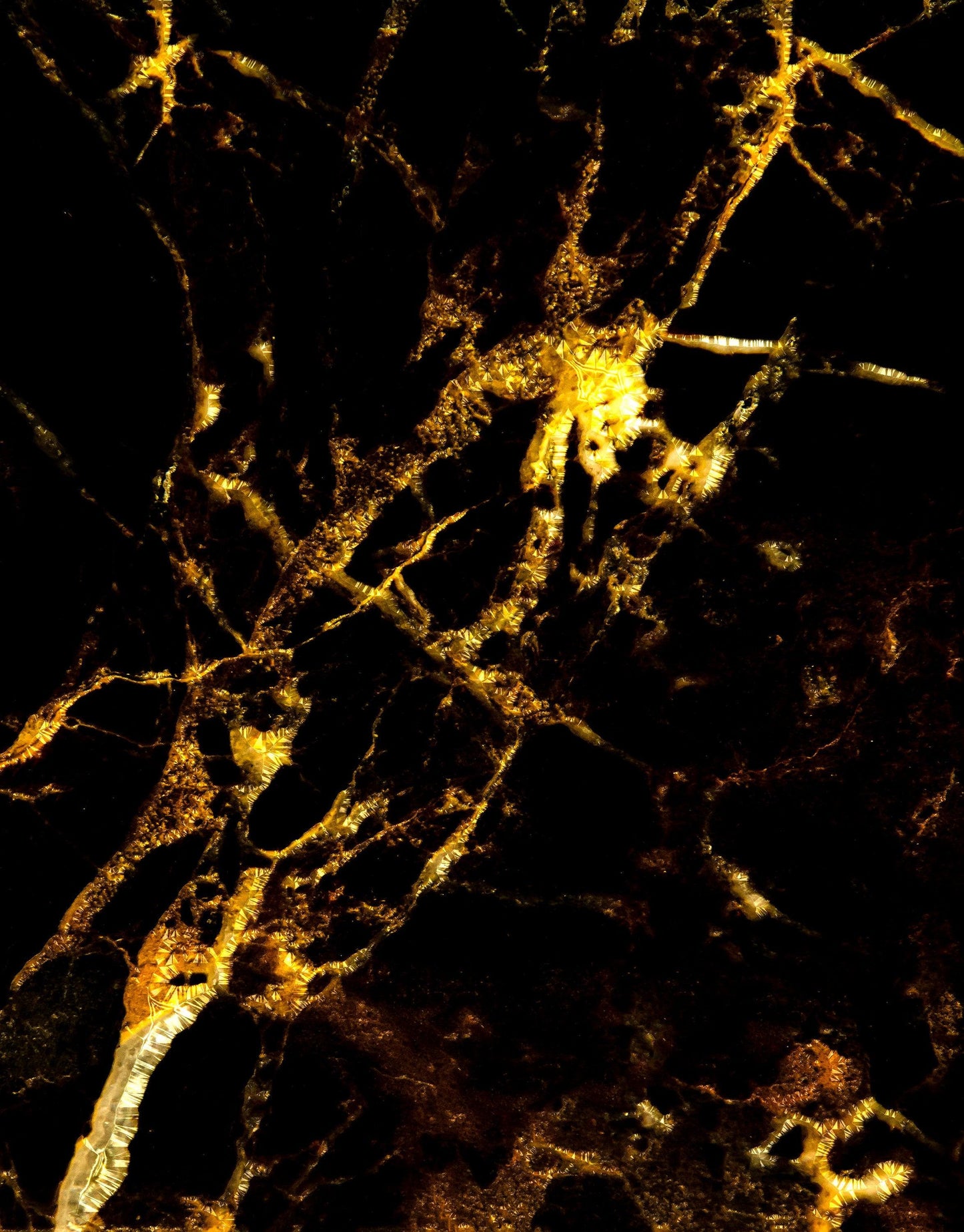 Black and Gold Abstract Marble Stone Peel and Stick Wall Mural. #6239