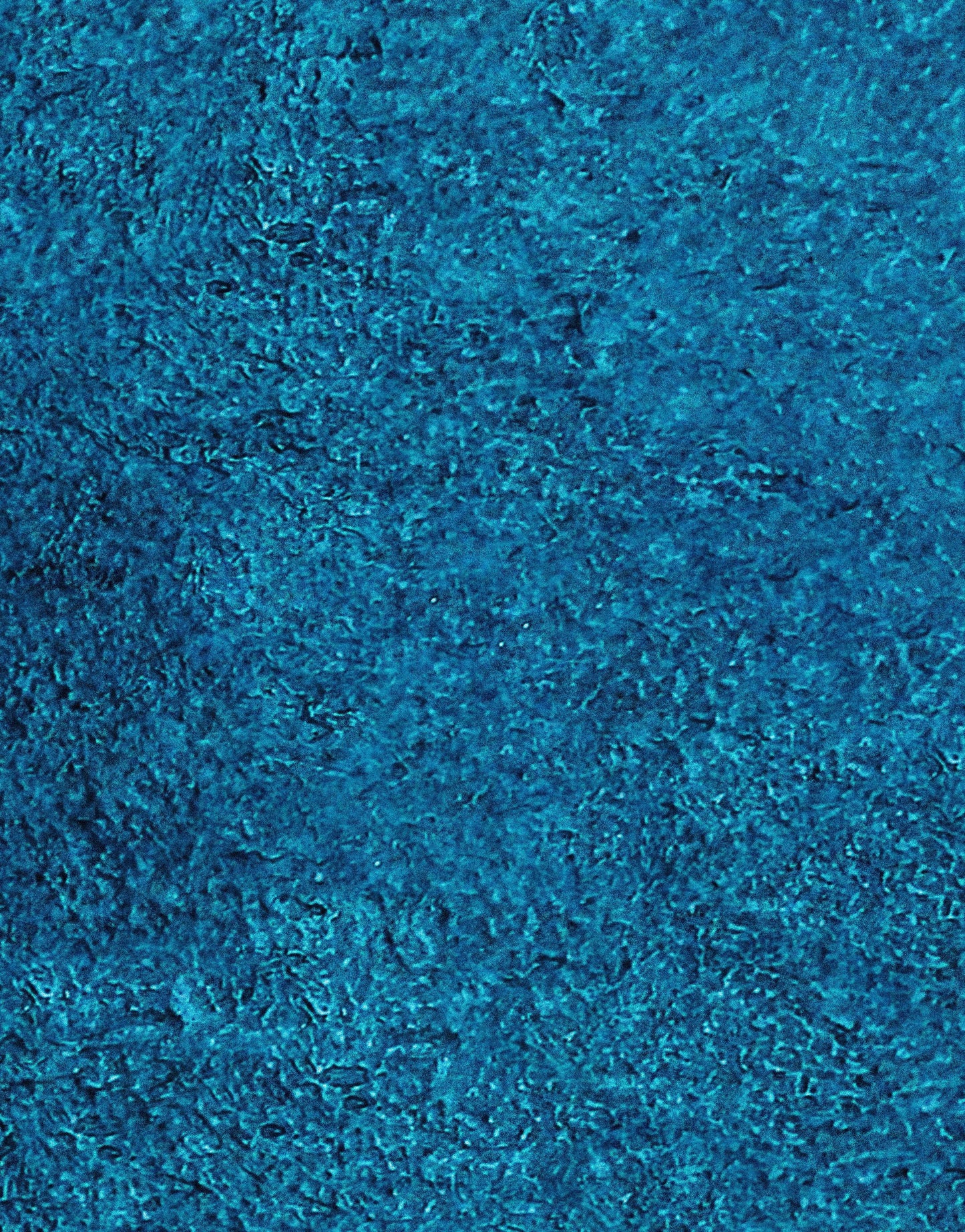 Dark Navy Blue Grunge Knock-Down Textured-Style Abstract Wall Mural. #6302