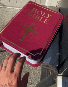 Beersy Booze Bible Hide a Cooler