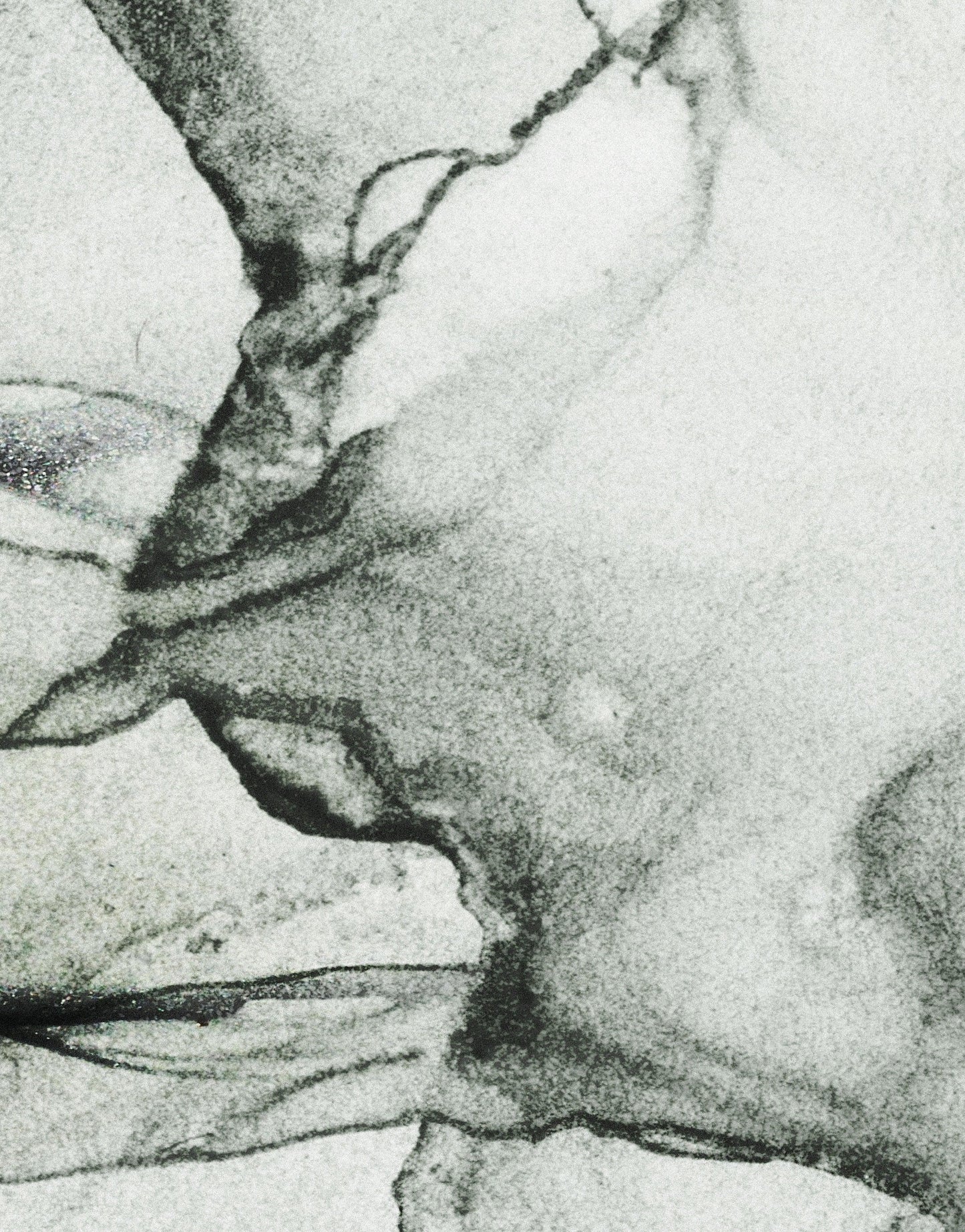 Abstract Black and White Fluid Alcohol Ink Painting Wall Mural. Peel and Stick Wallpaper. #6341