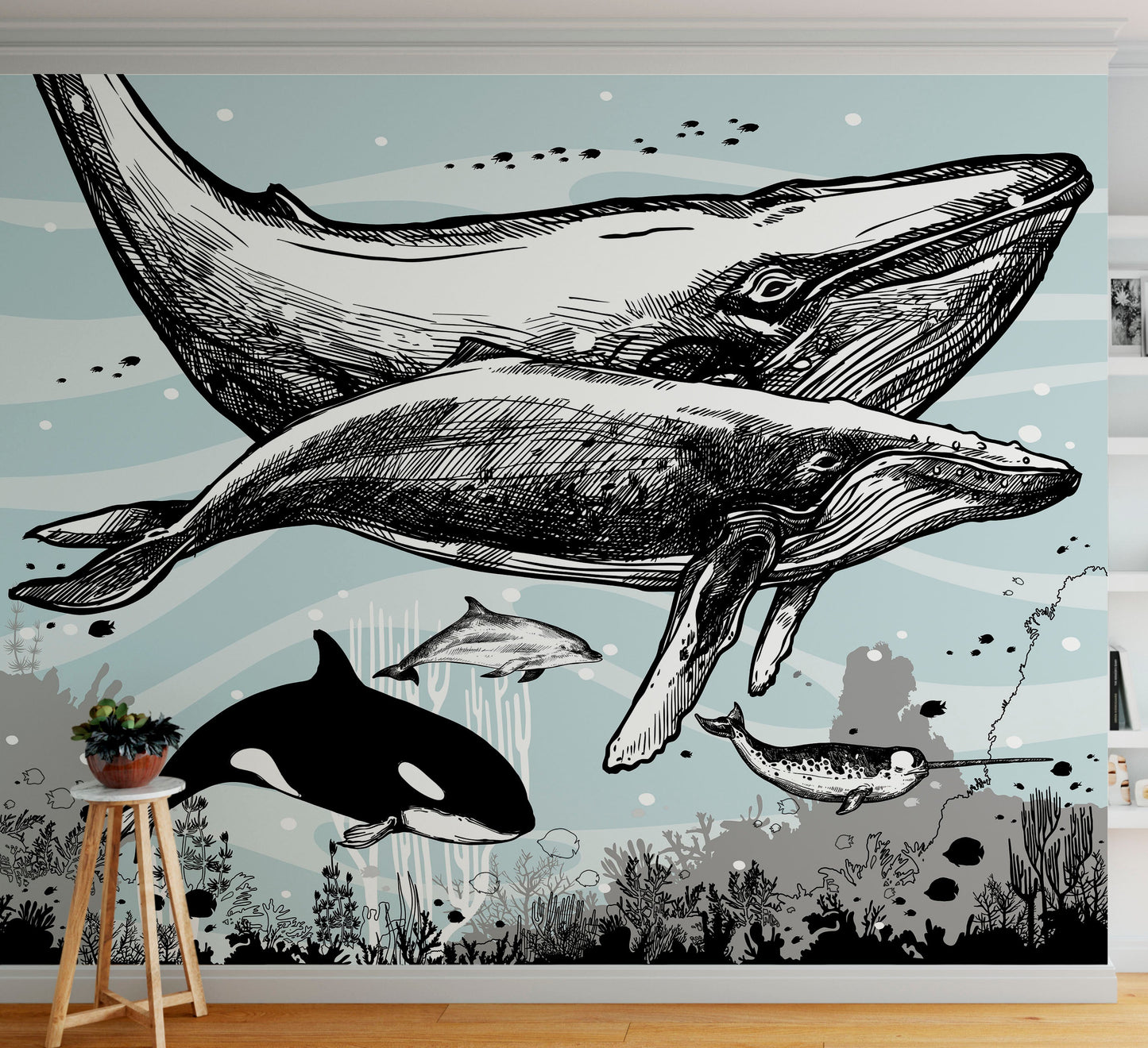 Whale, Dolphin, Killer Whale Wall Mural. Underwater Sea Life Drawing Design. Peel and Stick Wall Mural. #6354