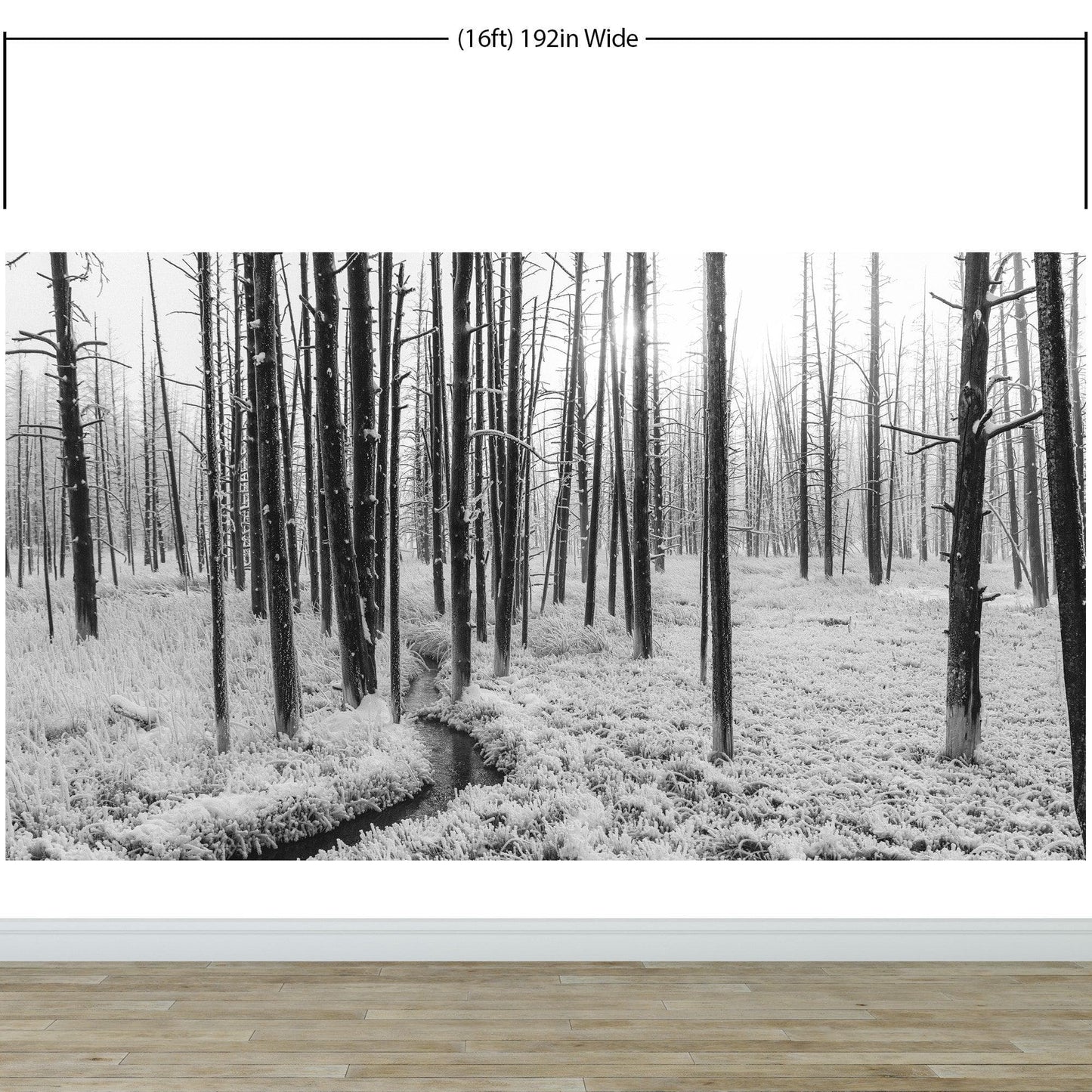 Black and White Forest Landscape Wall Mural. Peel and Stick Wallpaper. #6365