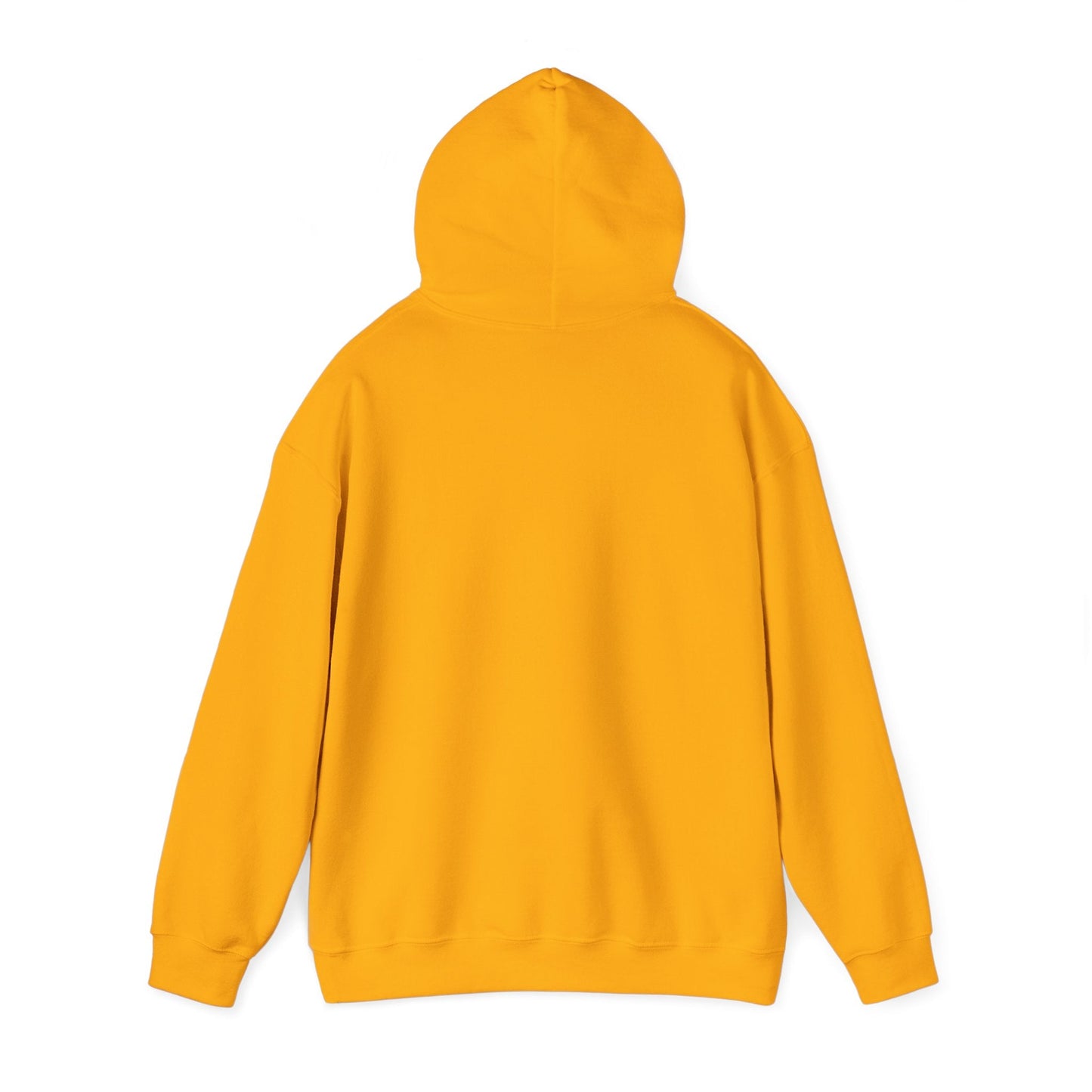 Pittsburgh Varsity Retro Heavy Blend Hooded Sweatshirt