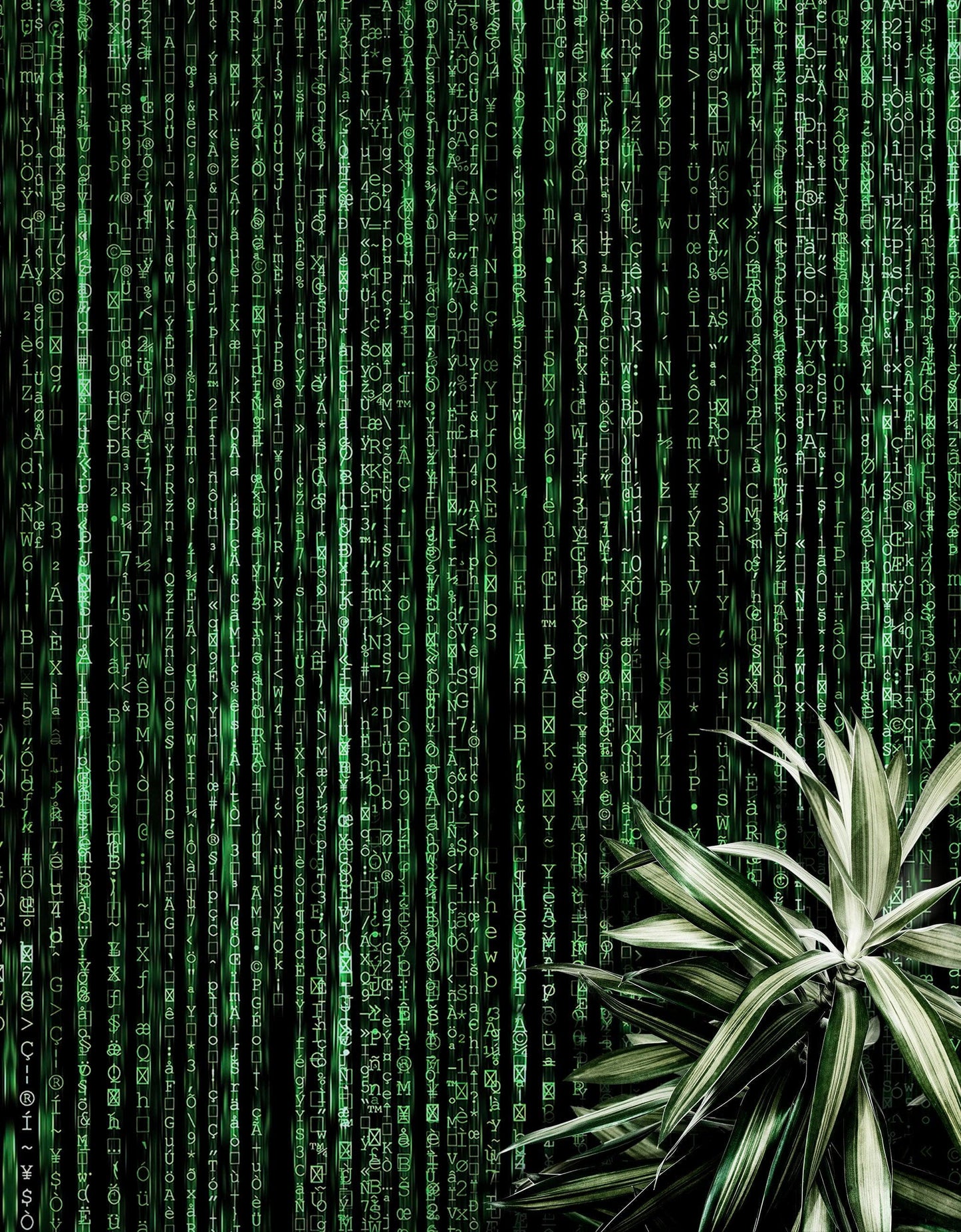 Computer Matrix Style Lines of Code Wall Mural. Science Fiction Decor. #6430