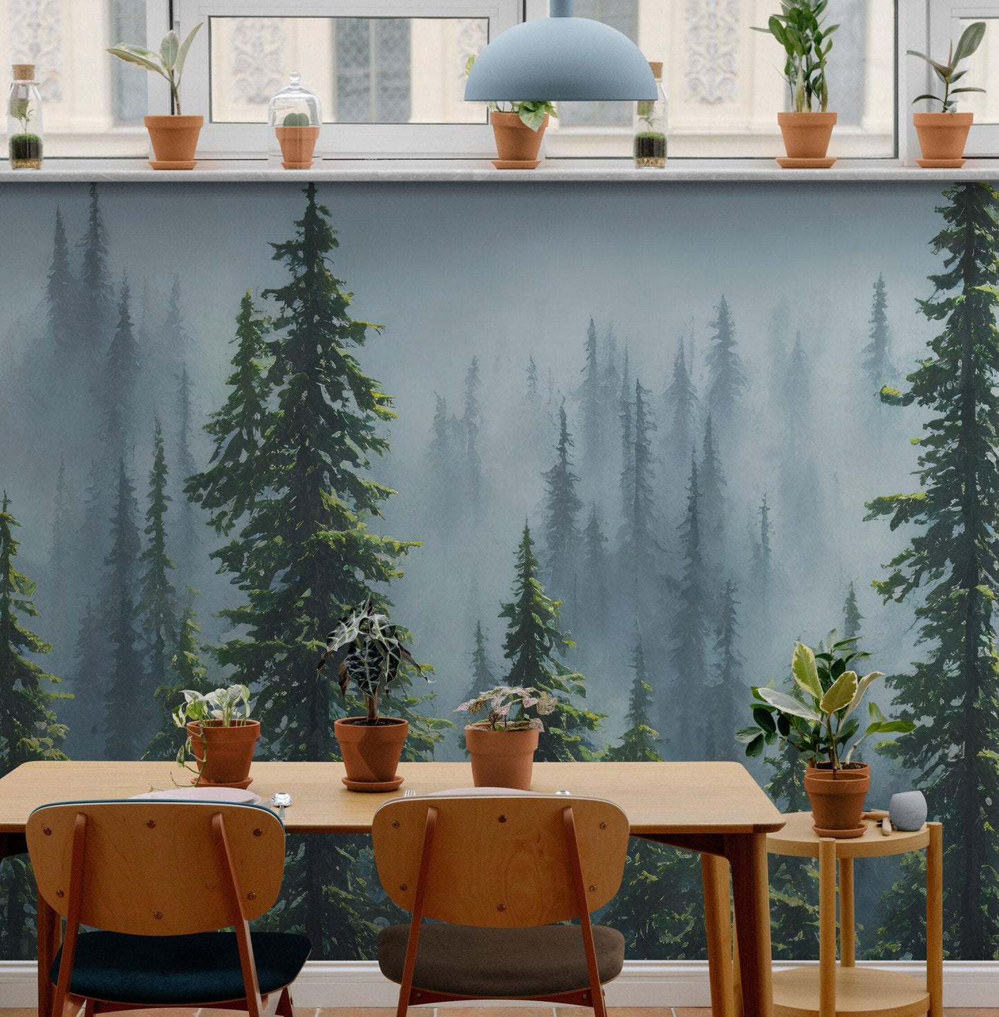 Nature Rainforest Wall Mural Wallpaper. Misty Forest Landscape. #6494