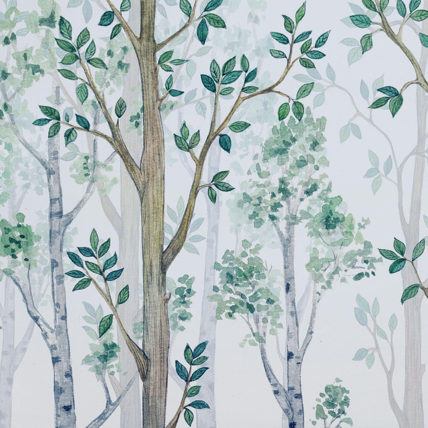 Nursery Woodland Forest Wallpaper. Watercolor Birch Tree Forest Wall Mural. #6525