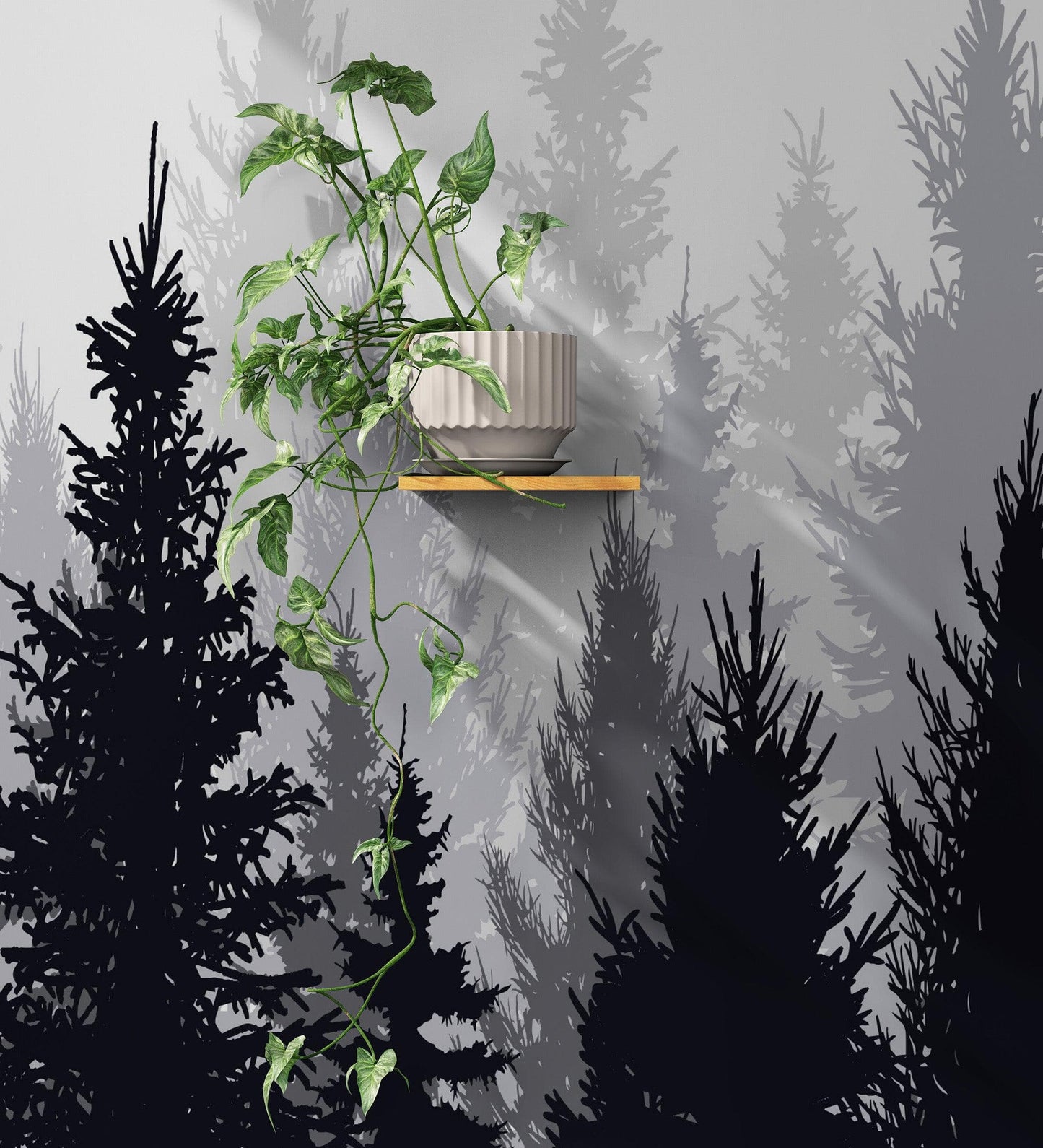 Black and White Pine Tree Forest Wallpaper. #6594