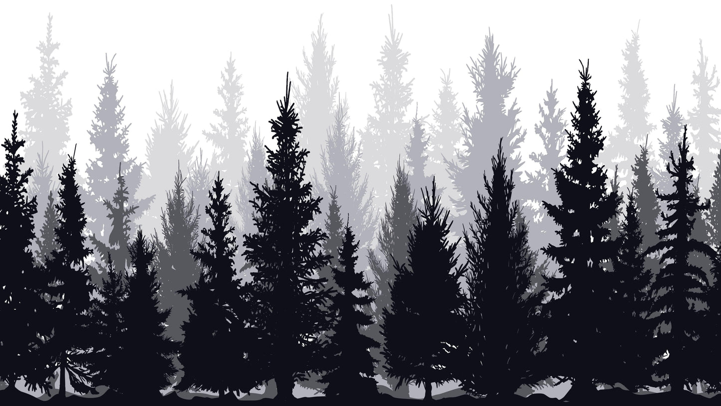Black and White Pine Tree Forest Wallpaper. #6594