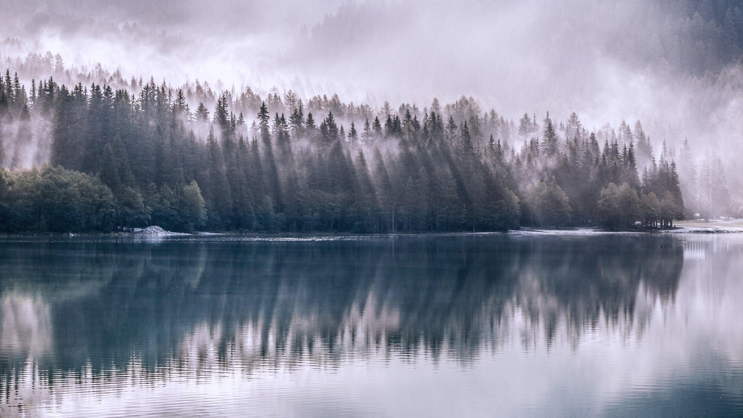Pine Trees Forest Lake View Wall Mural Wallpaper. #6754