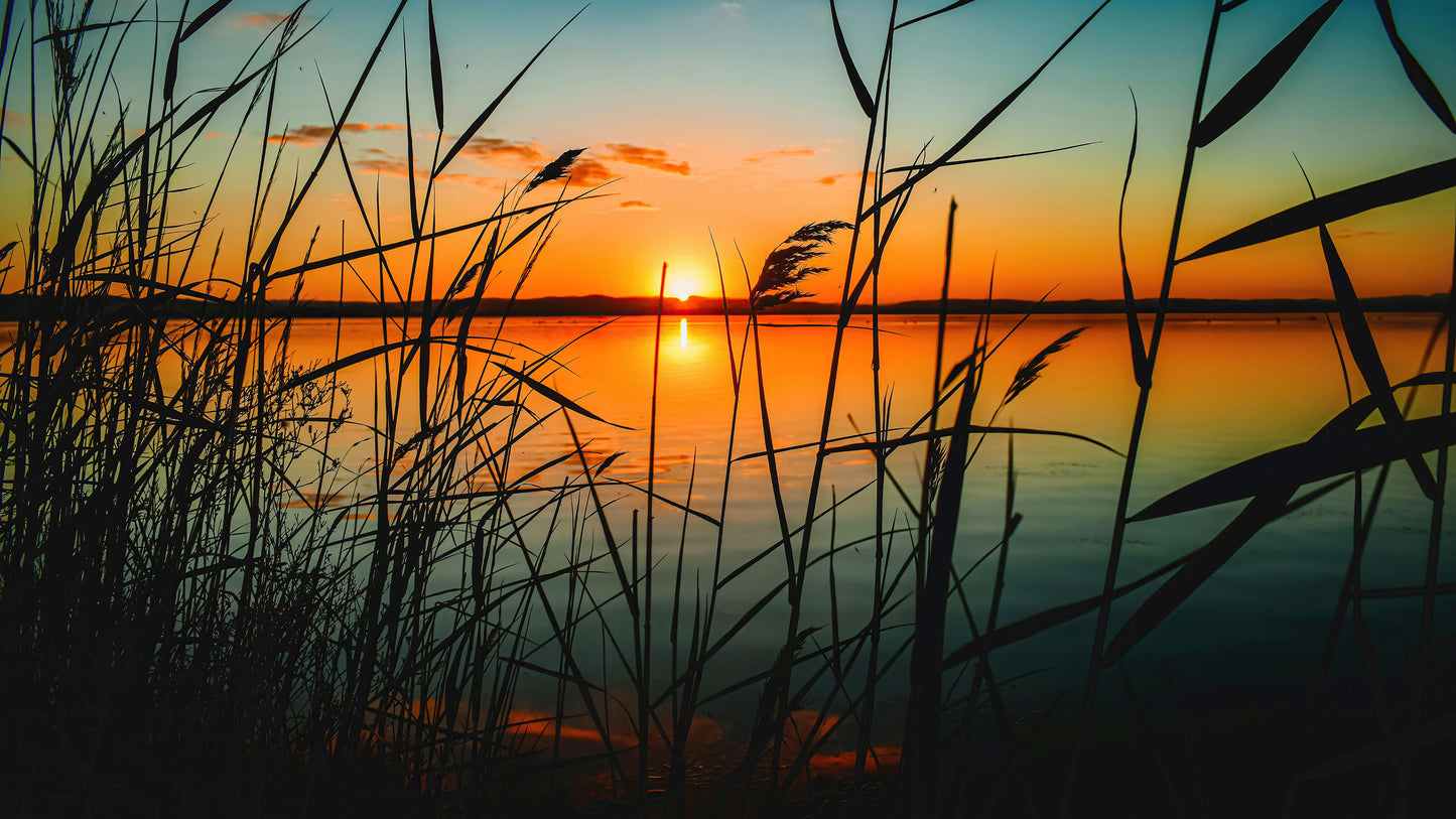 Lakeside Retreat with Sunset Over Lake Wallpaper Mural. #6920